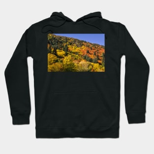 Arrowtown Colour Hoodie